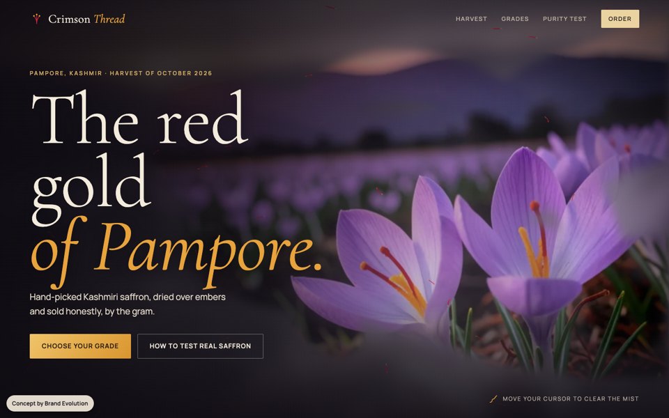 Crimson Thread concept homepage